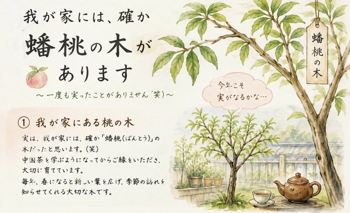 我が家には、確か「蟠桃」の木があります｜みっちゃん