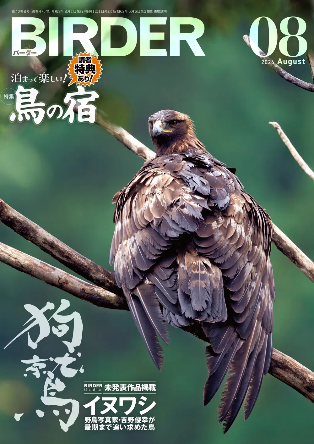 BIRDER8月号の見どころ｜ブンイチ（文一総合出版）