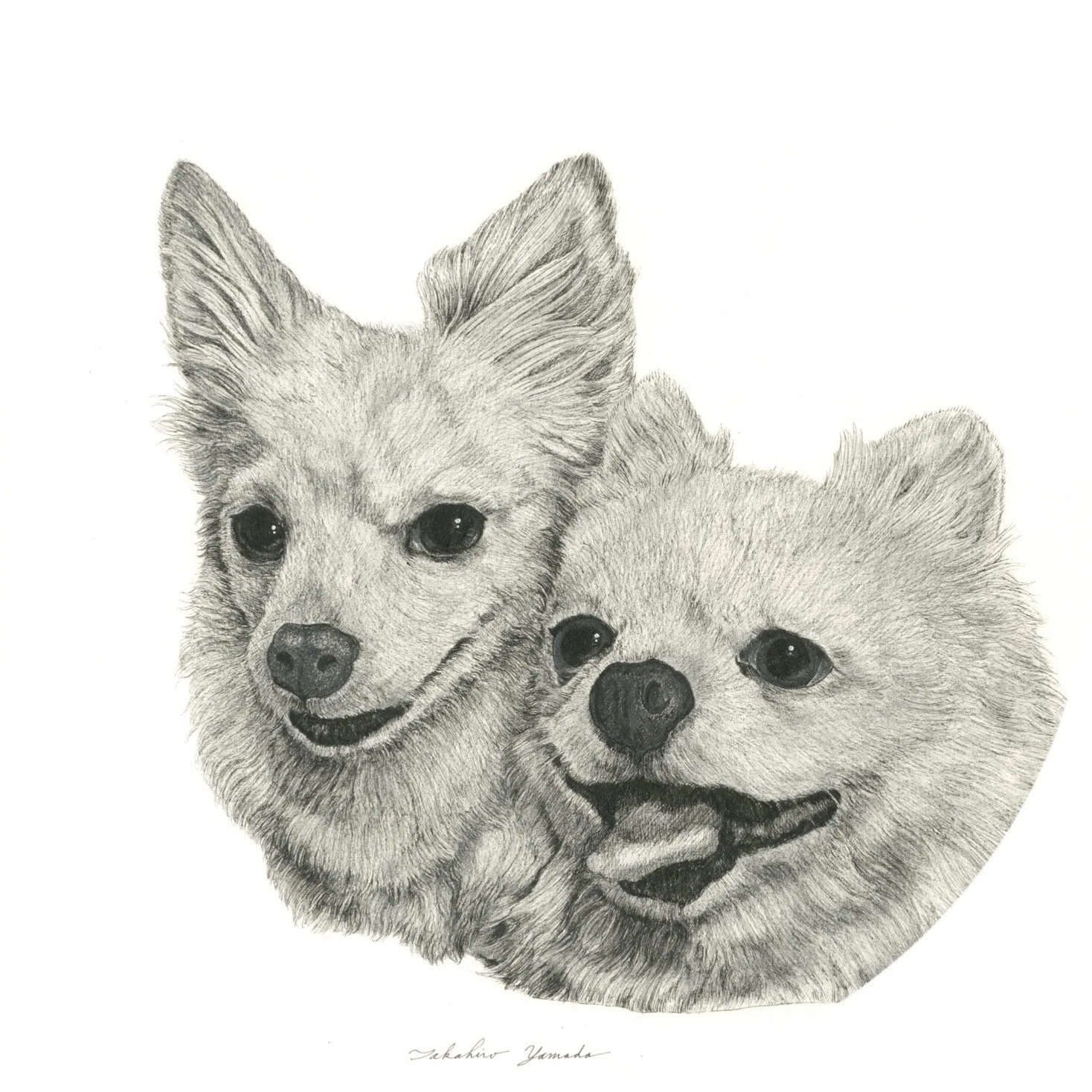 今週は犬】 This Week, Dogs 2026/7/15｜山田貴裕