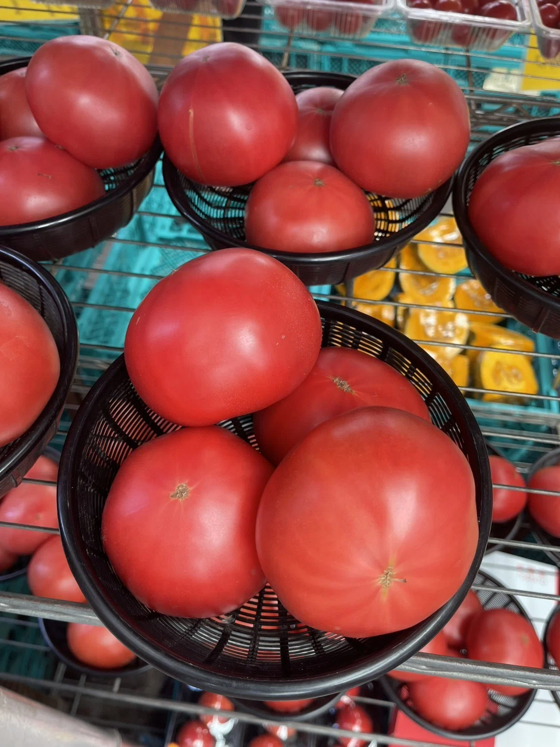 夏野菜の王様が大集合！／トマト好き全員集合🍅個性豊かな『絶品トマト