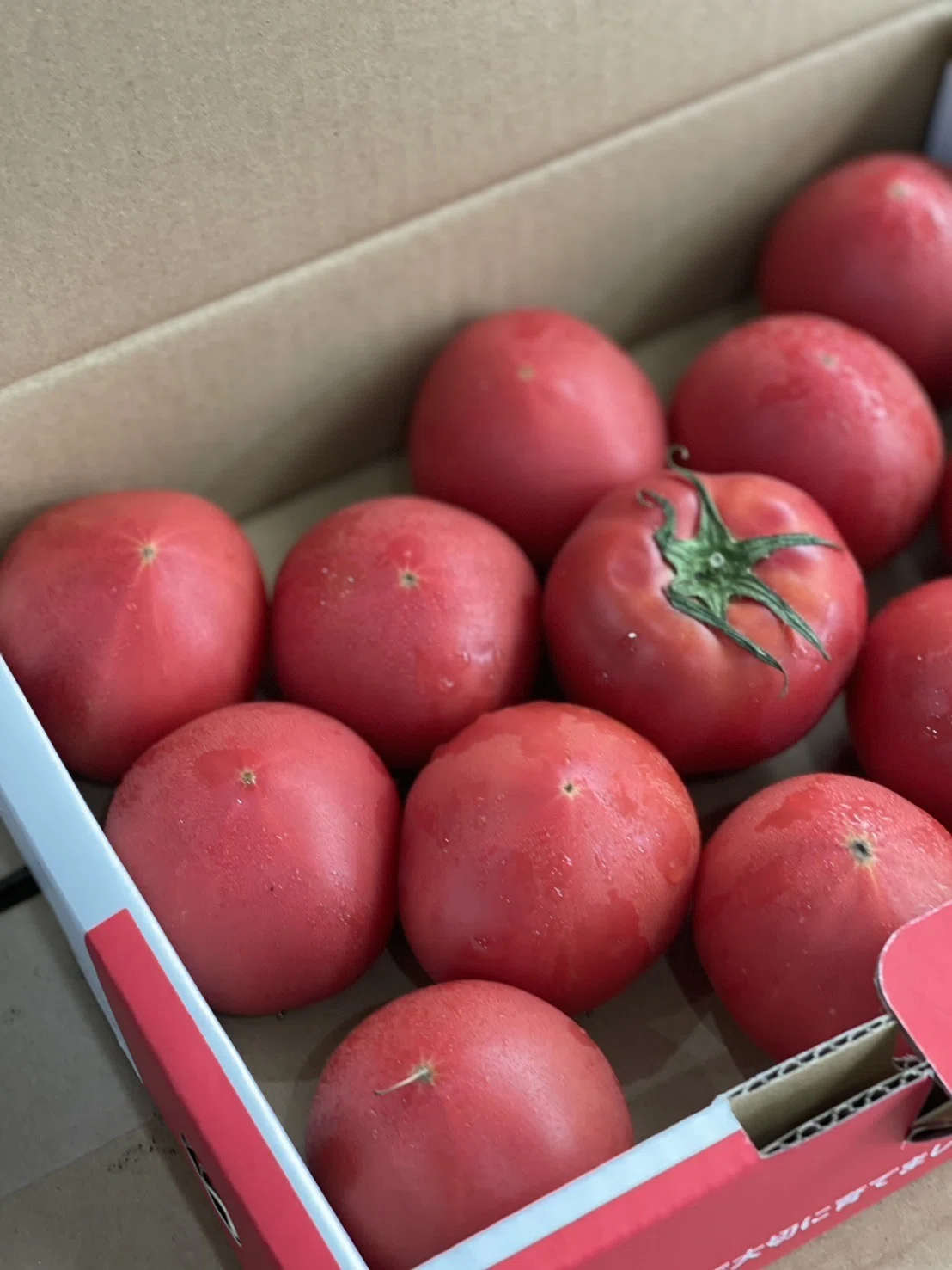 夏野菜の王様が大集合！／トマト好き全員集合🍅個性豊かな『絶品トマト