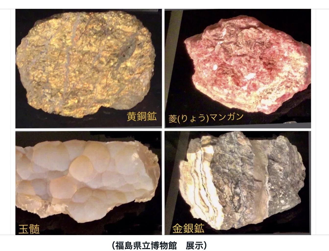 東北日本の旧石器時代 公式通販