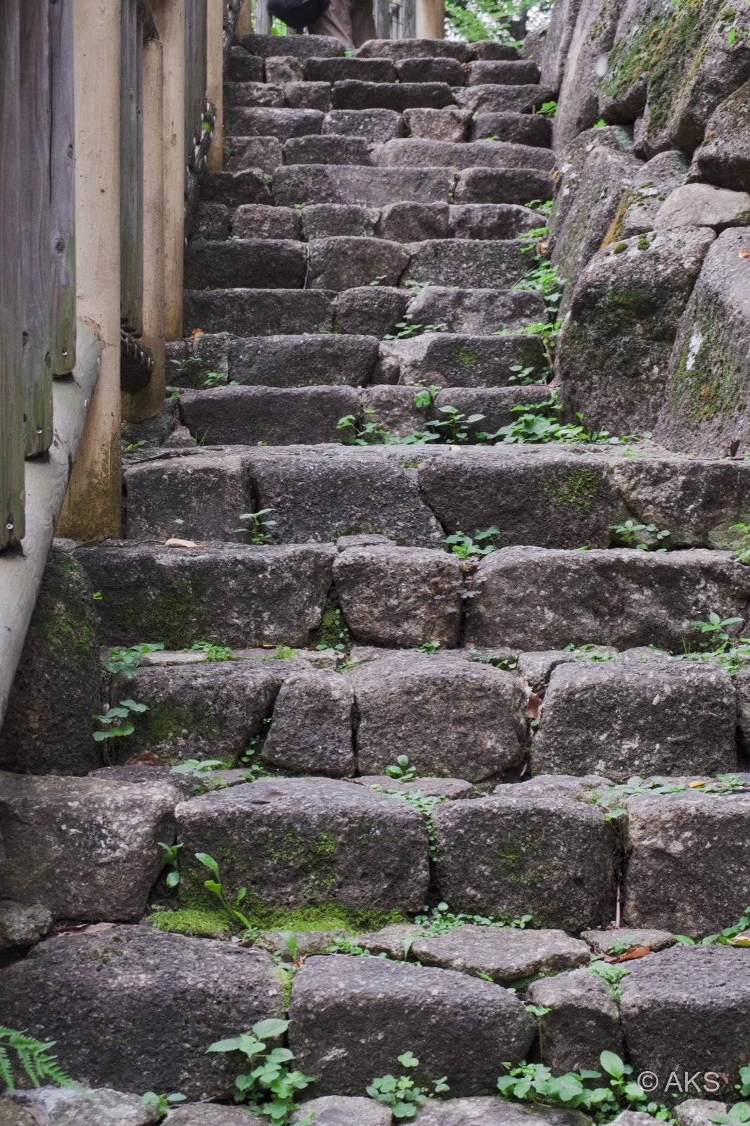 [Photo Story] Walking through the world of the modern fairy tale 'The ...