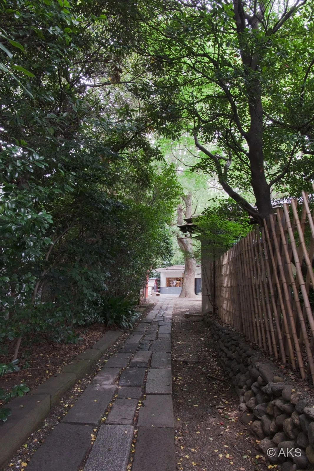 [Photo Story] Walking through the world of the modern fairy tale 'The ...