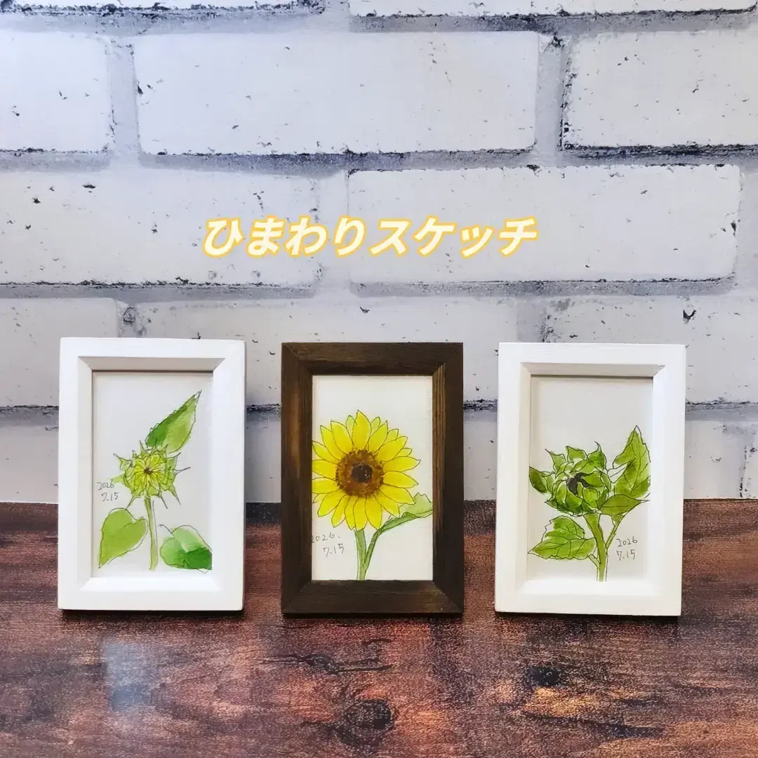 描きながら歩く 7月15日 |透明水彩スケッチ日記【28】｜kamo
