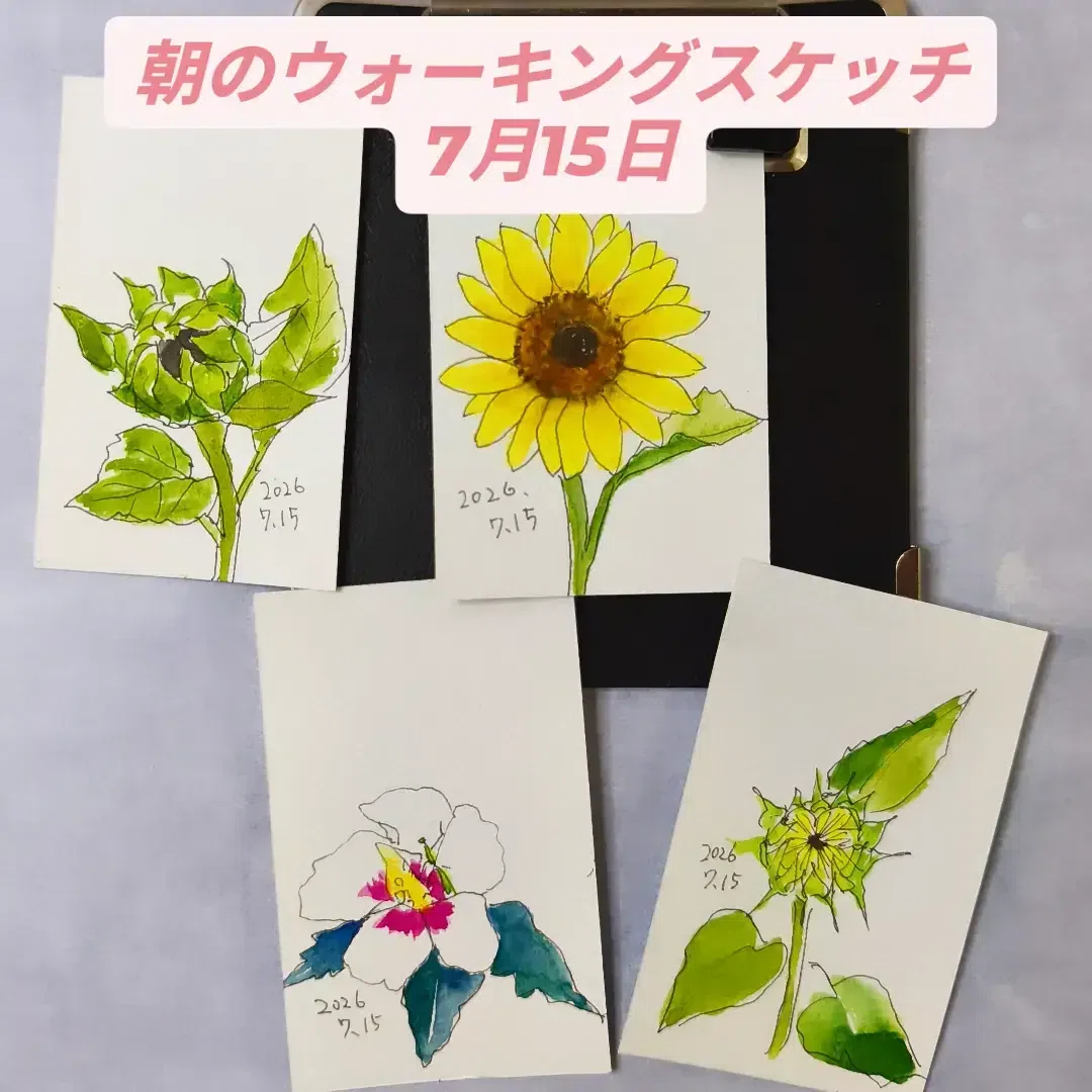 描きながら歩く 7月15日 |透明水彩スケッチ日記【28】｜kamo