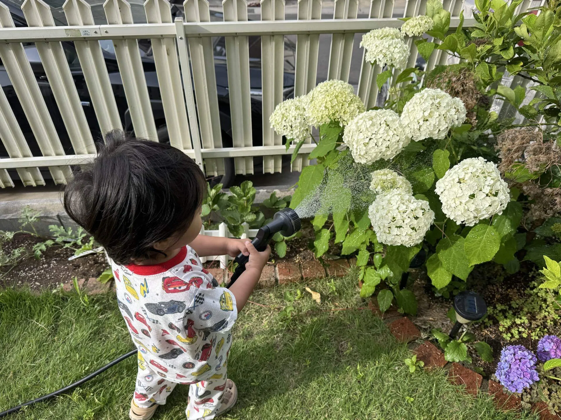 親子Days 家庭菜園編②】水やり担当は子ども！野菜と子どもの成長記録