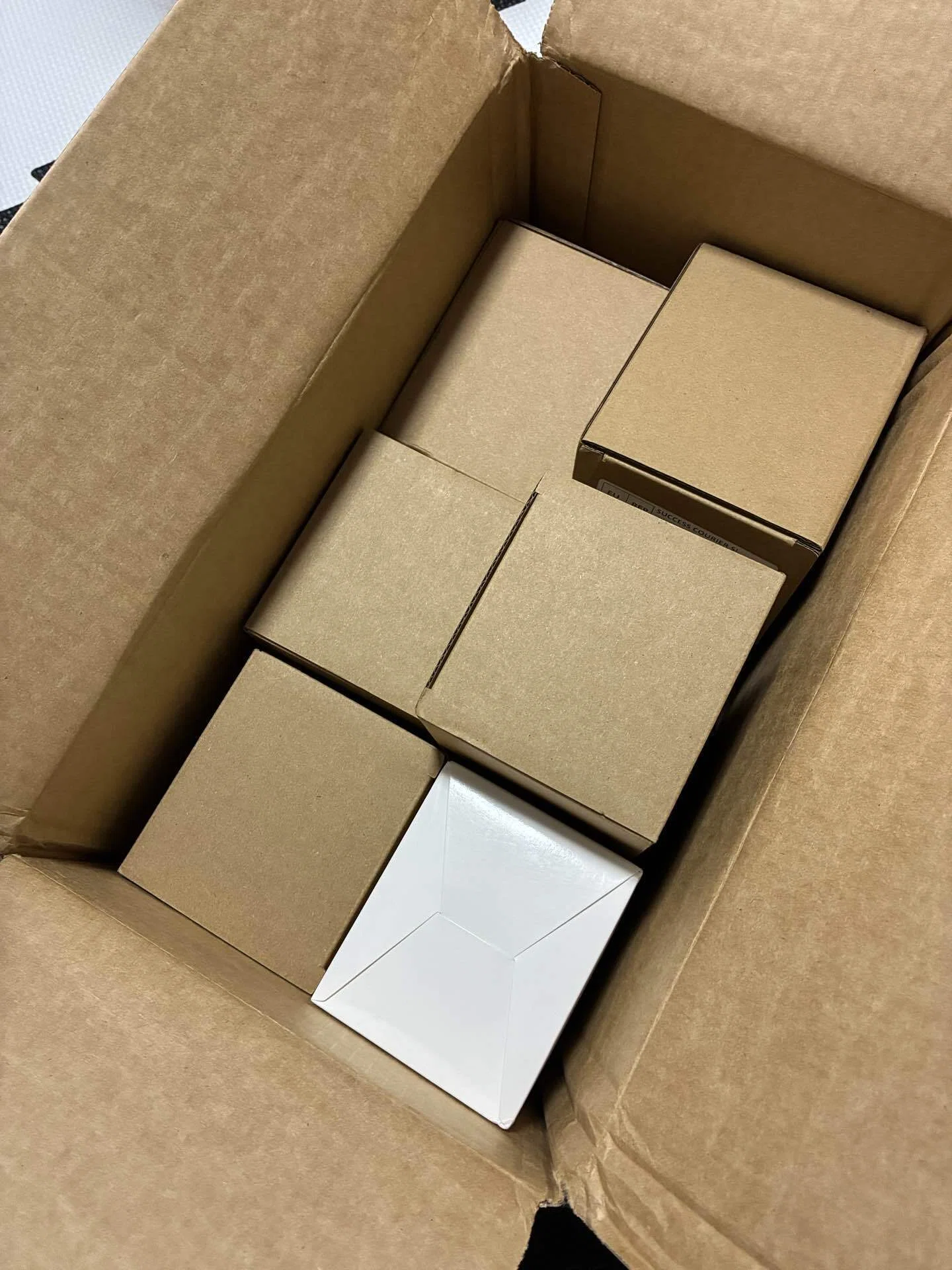 Amazon Haulの285円デッキケース、本当に使えるのかレビューしてみた
