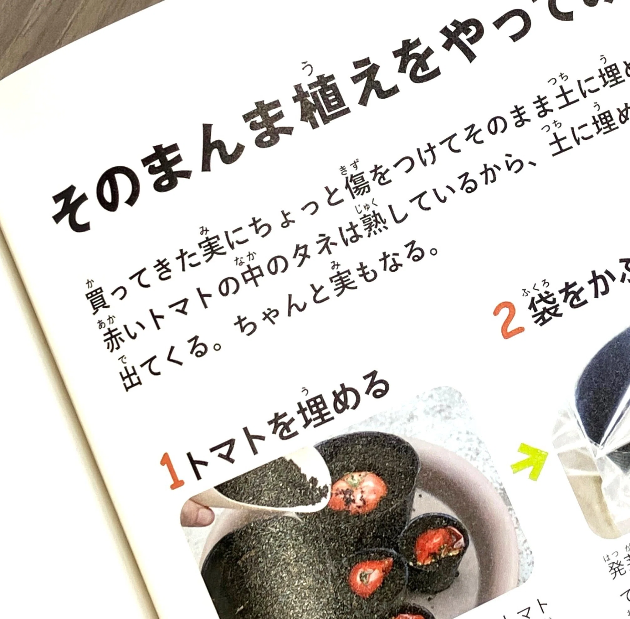 農文協【 百の知恵双書 10冊（第1,4,7.8.13,15～18,20巻）】 本 農文協