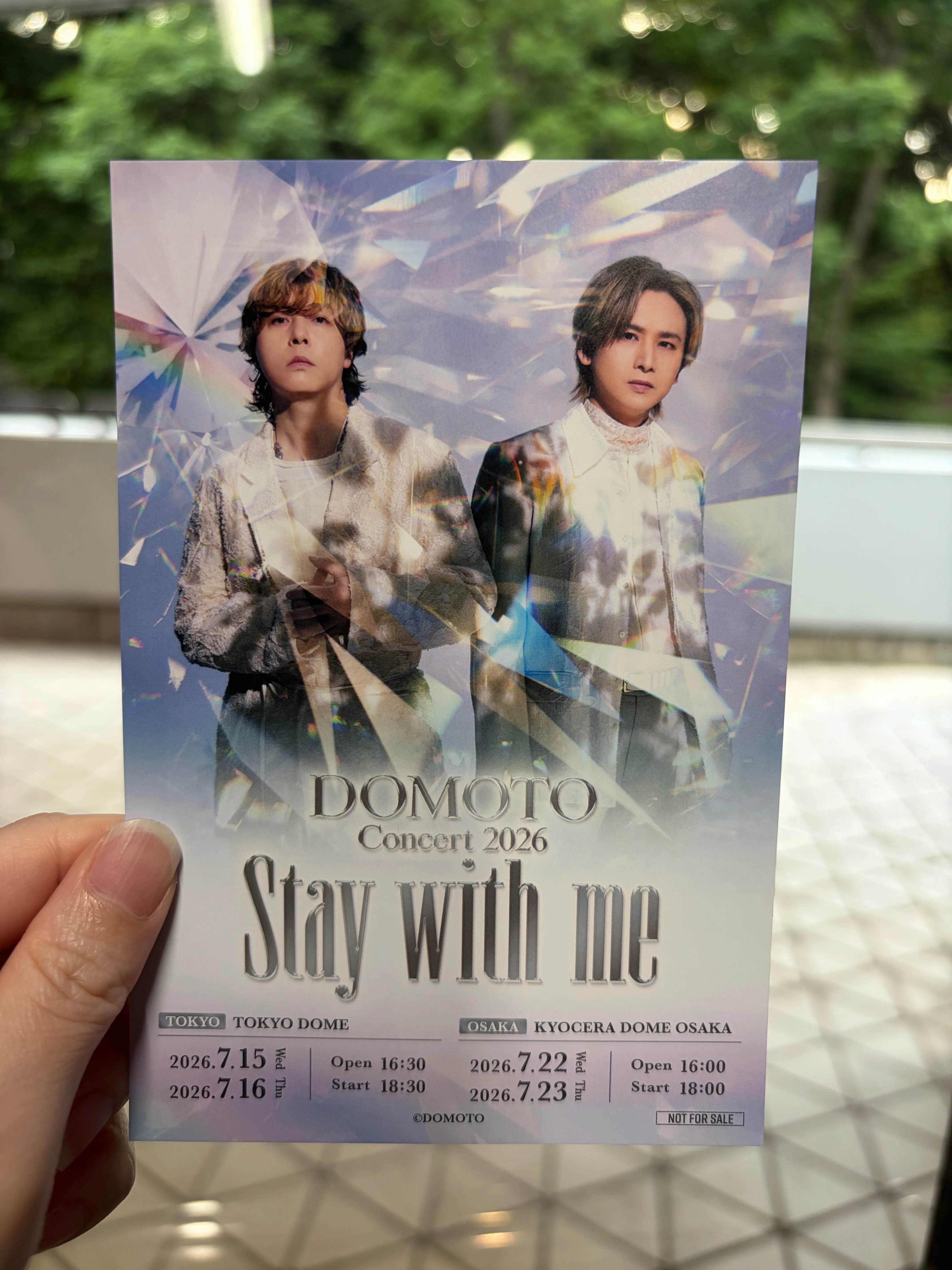 DOMOTOの2026夏のライブ、「Stay with me」に行って来ました！（東京
