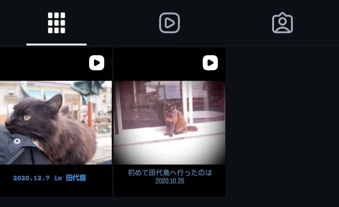 田代島の猫写真を集めたInstagram始めました🐈️🍀🐈‍⬛｜『がりと