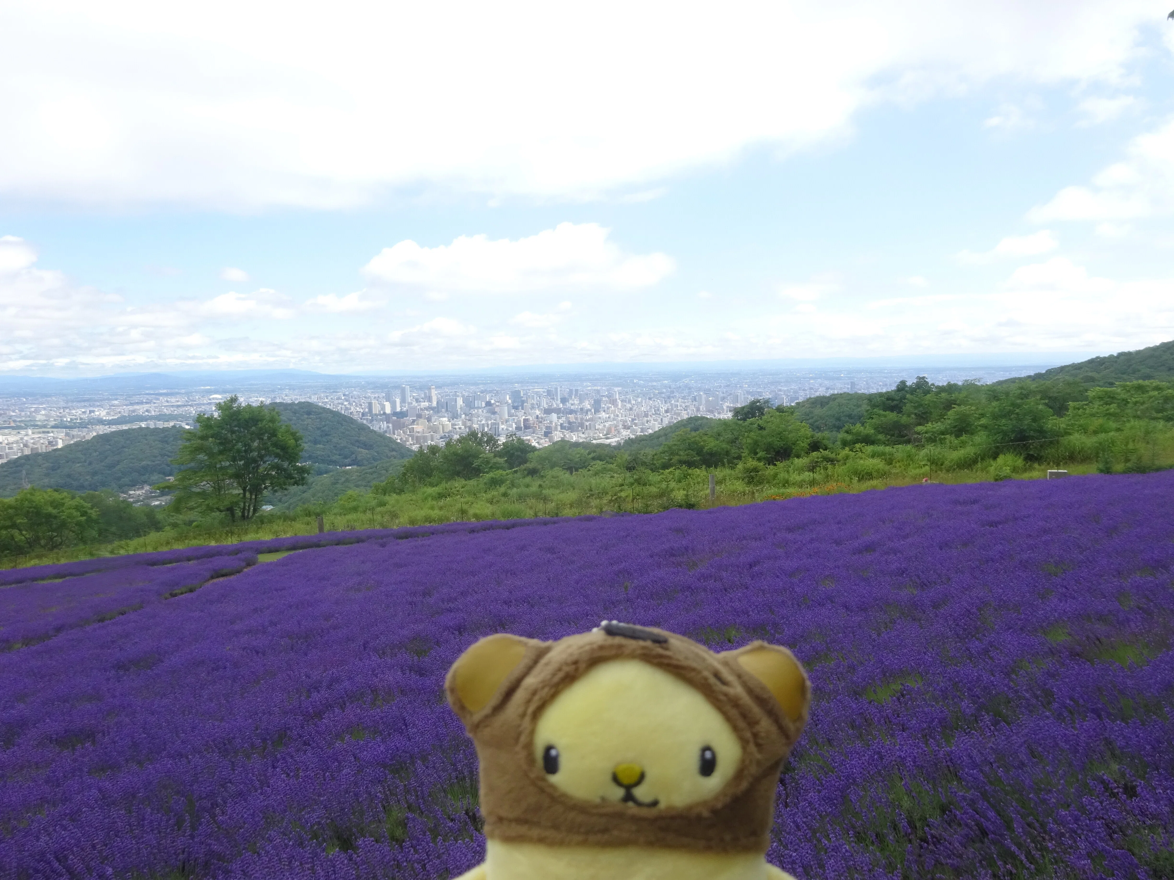 幌見峠ラベンダー園・大倉山ジャンプ競技場・オリンピックミュージアム