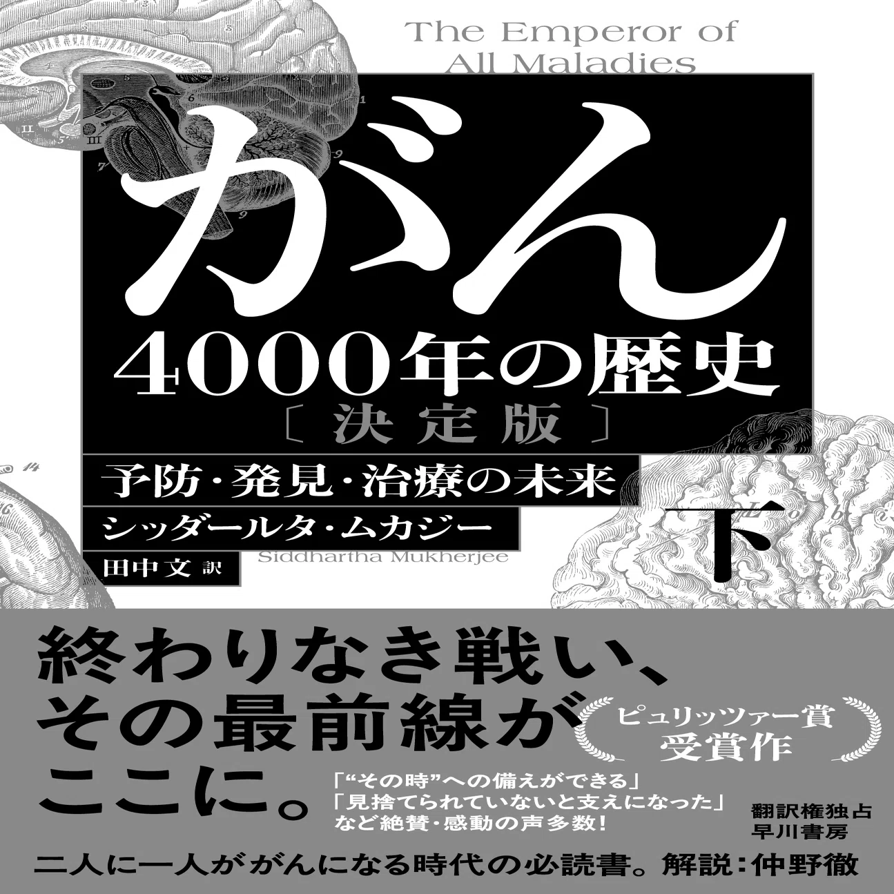 病気 の 歴史