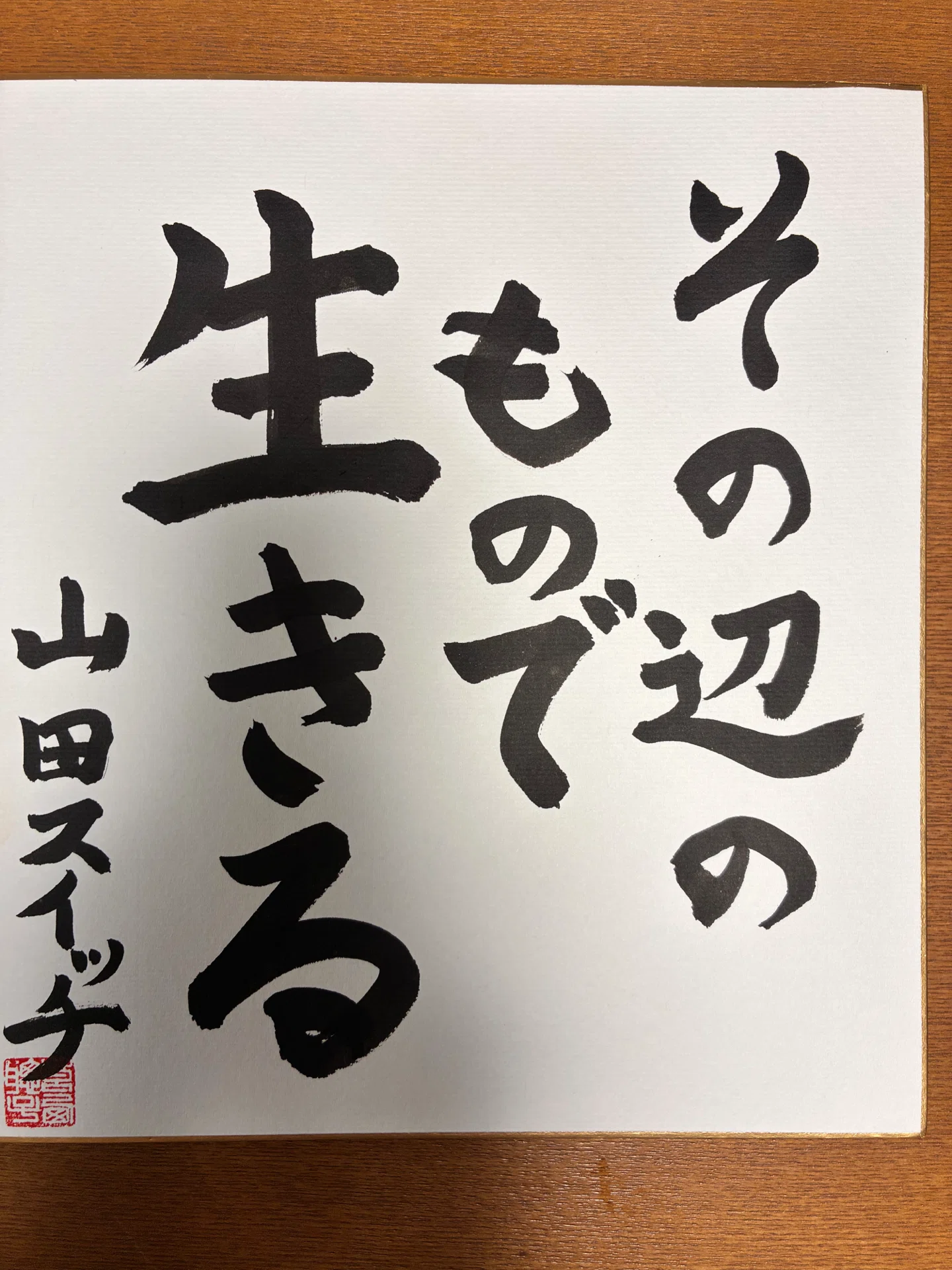ザ・メッセージ ウジウジするな でっかく生きろ 山本 又一朗 徳間書店
