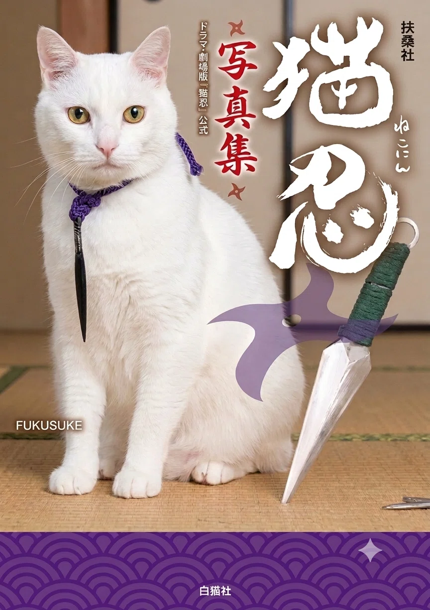 白猫ふーちゃんのあしあと #21 / ついに写真集発売！？｜hoshi