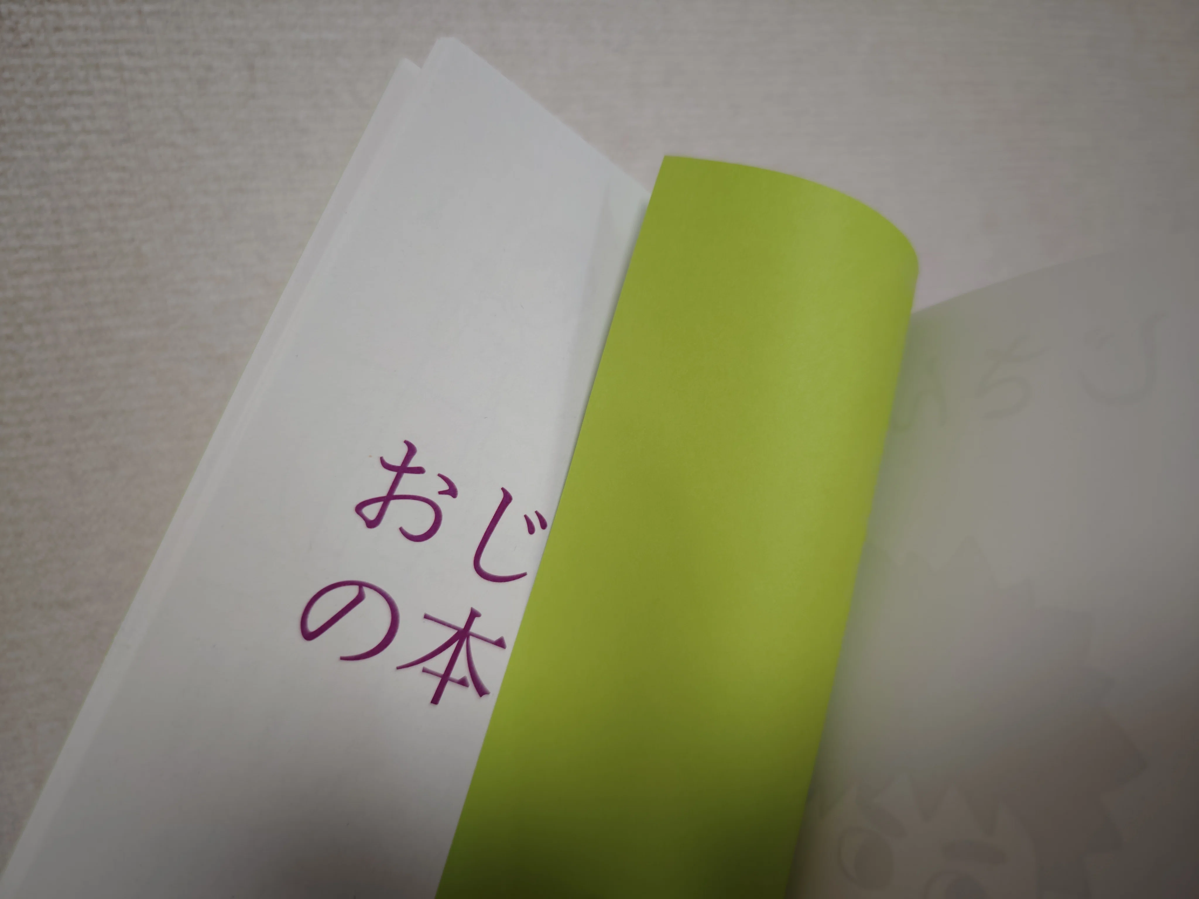 ZINEフェス東京に参加したレポ 7月編｜藍｜アトリエぽてと