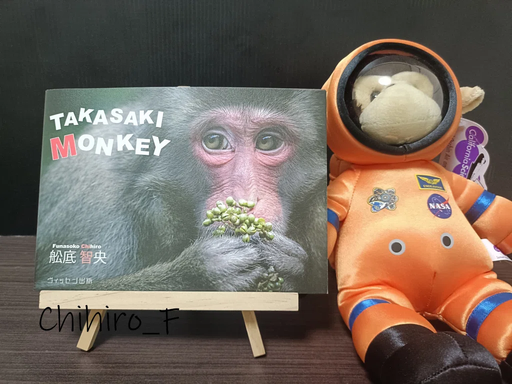 大分県高崎山のニホンザル写真集「TAKASAKI MONKEY」を発売します