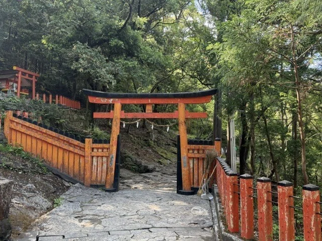 VOL.111】神倉神社｜538段の石段を登り、熊野三山の元宮・ゴトビキ岩へ