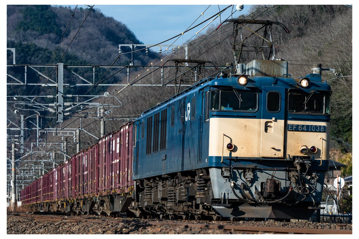 機材】これ1本で全部撮れる Nikkor Z 24-200mm f/4-6.3 VR ｜いもらいなー