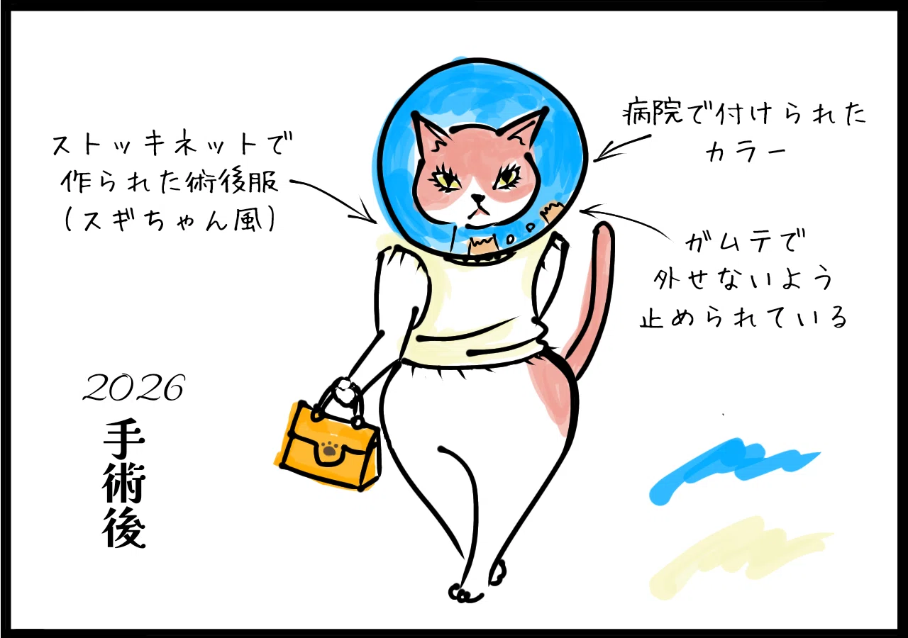 猫マンガ】ろくいちコレクション2026｜くるコト(K807)
