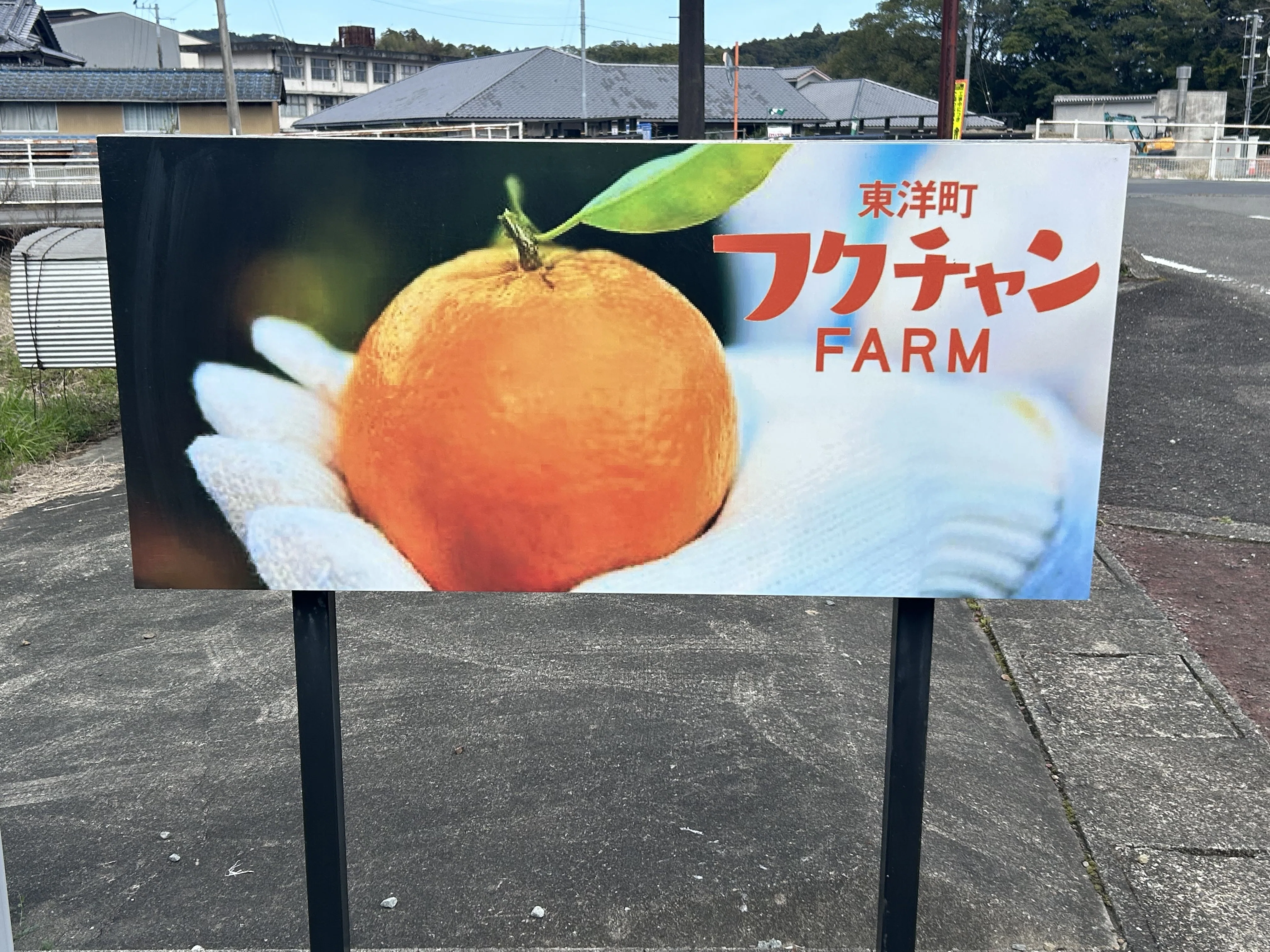 高知見聞録1-9（東洋町フクチャンファーム、室戸岬行っくよ〜）｜kazu_7138