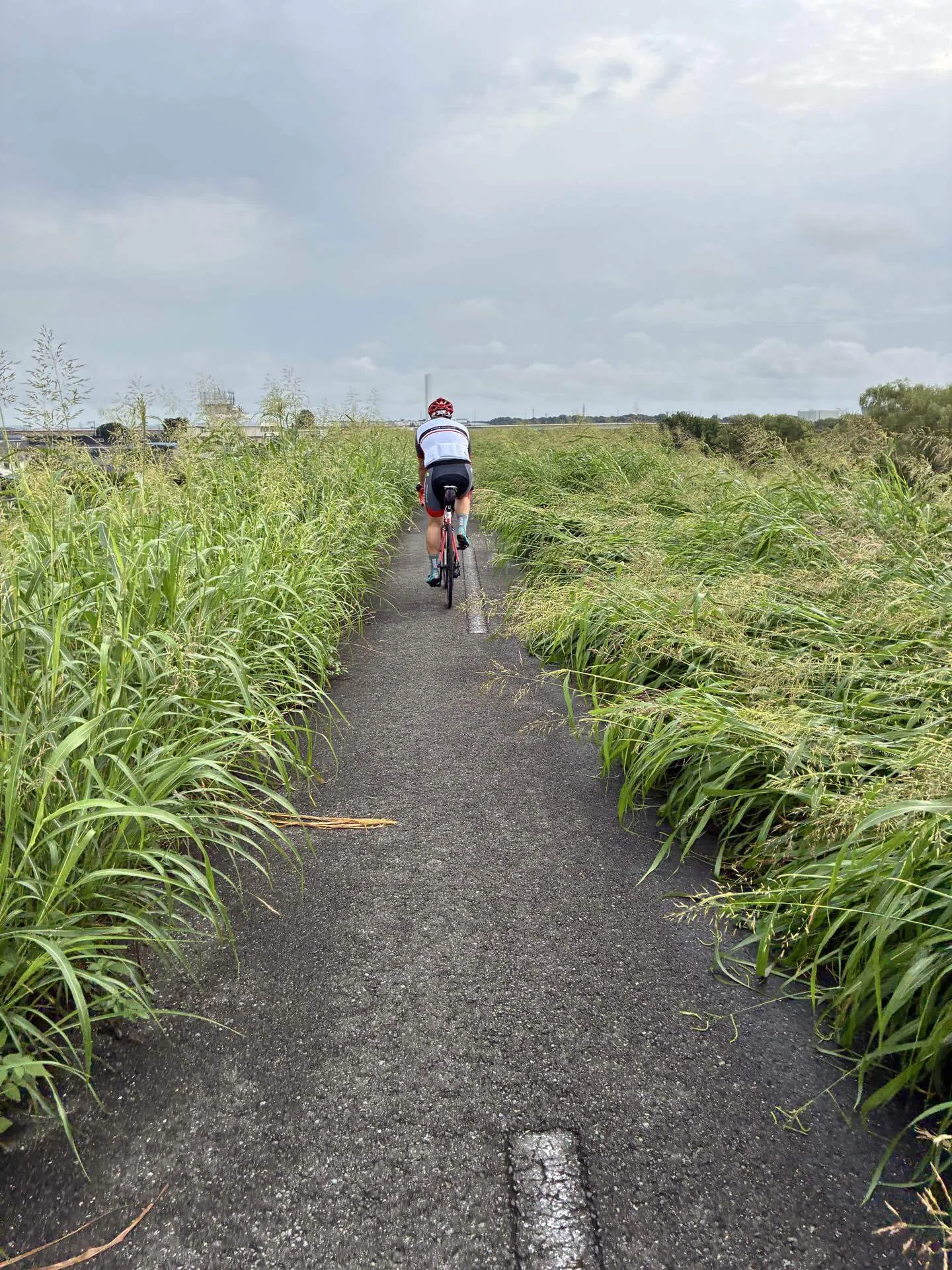 FACTOR ONEでポタリング80km｜西川正治