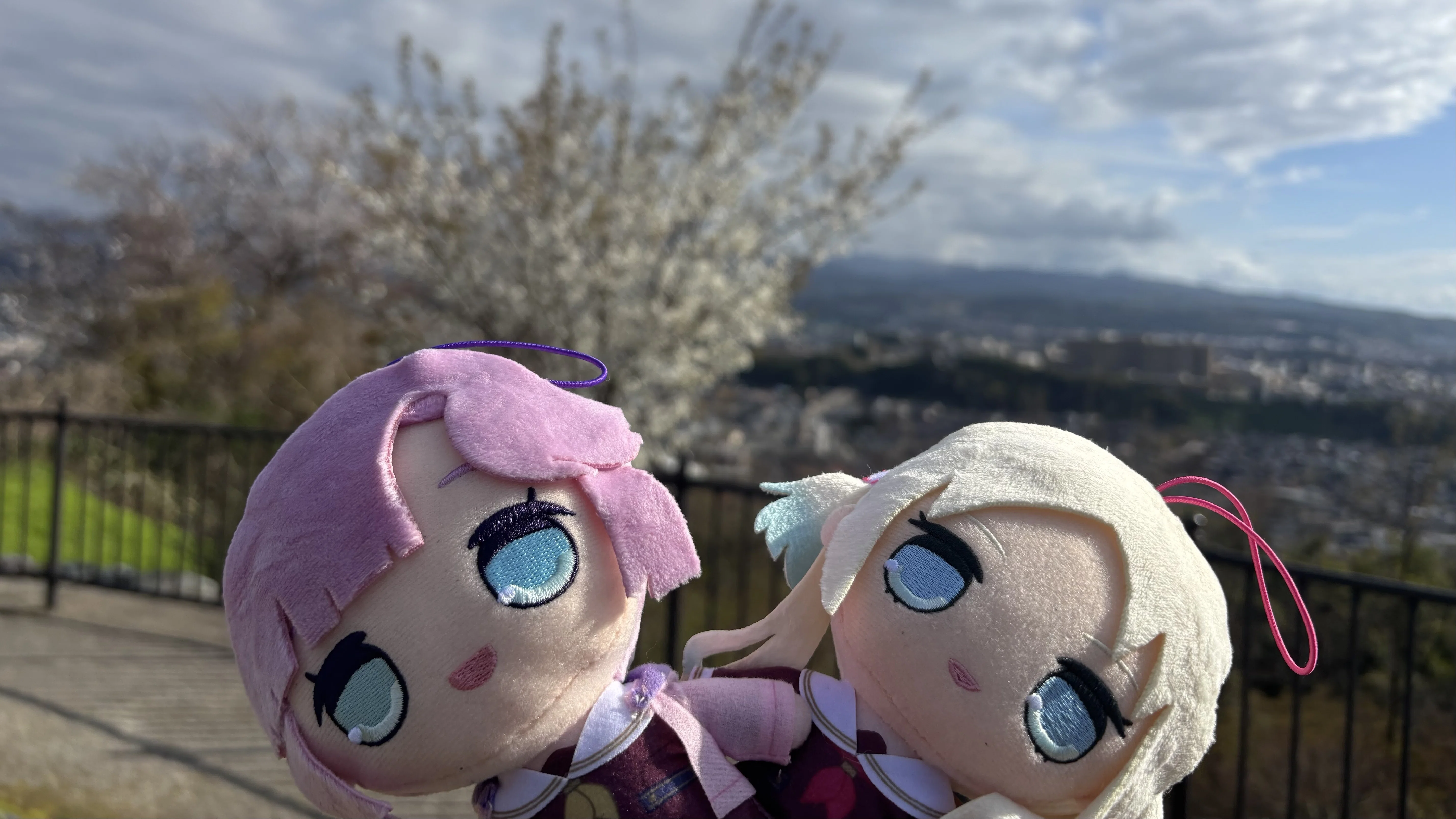 ぬい活】蓮ノ空きゅるまるぬいぐるみが可愛すぎてぬい活にハマりました