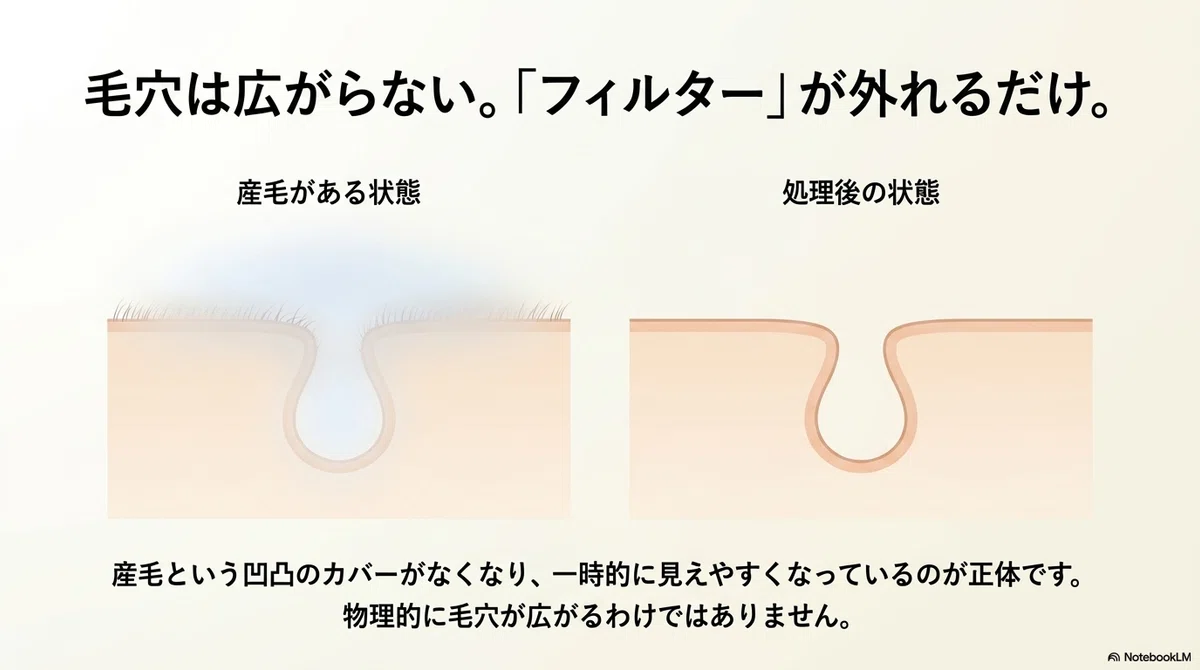 顔の産毛処理:「産毛を剃ると毛穴が広がる」は本当なのか(その2)