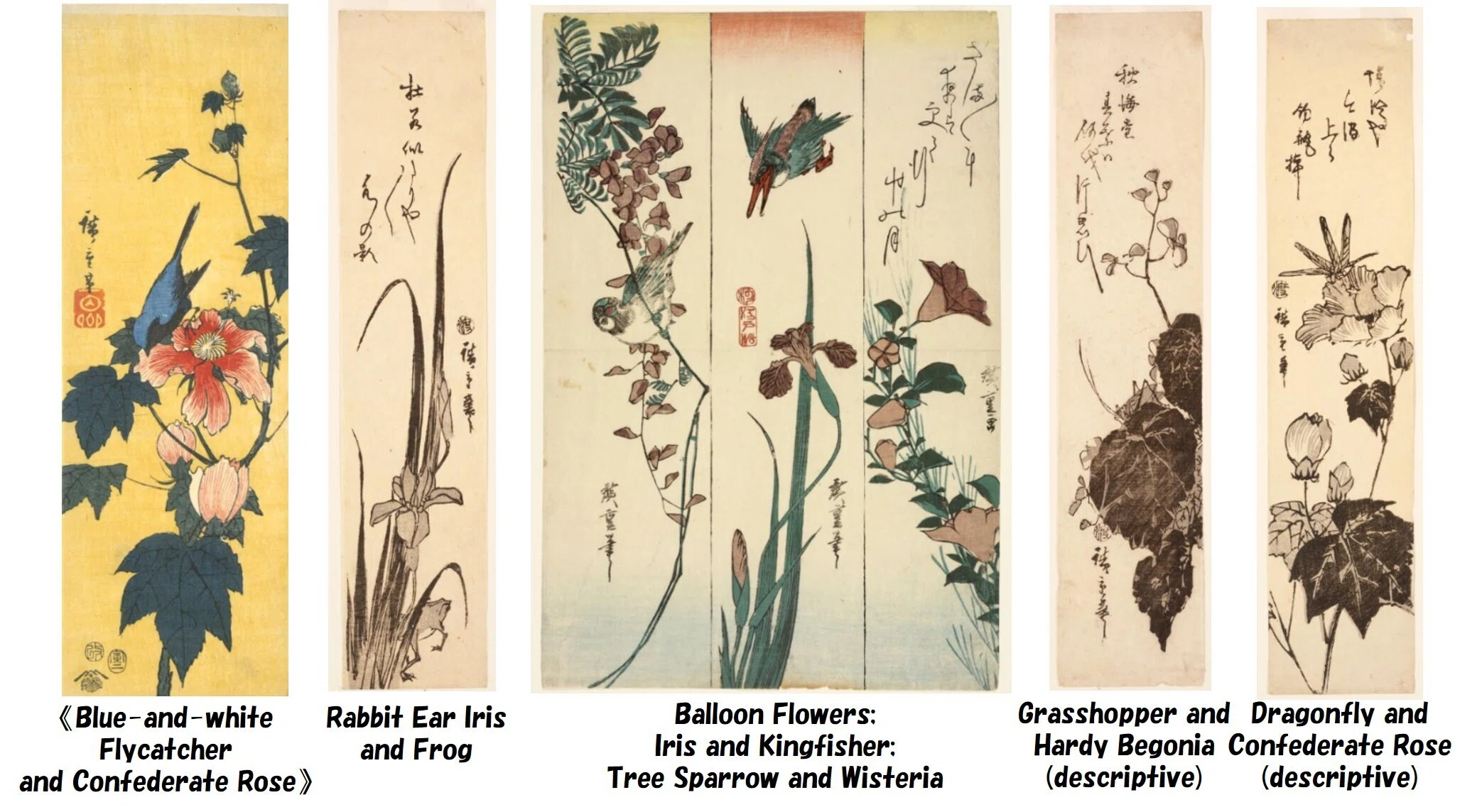 花スケッチの構図の相談：広重の鳥なき「花鳥画」構図をアドバイスしま