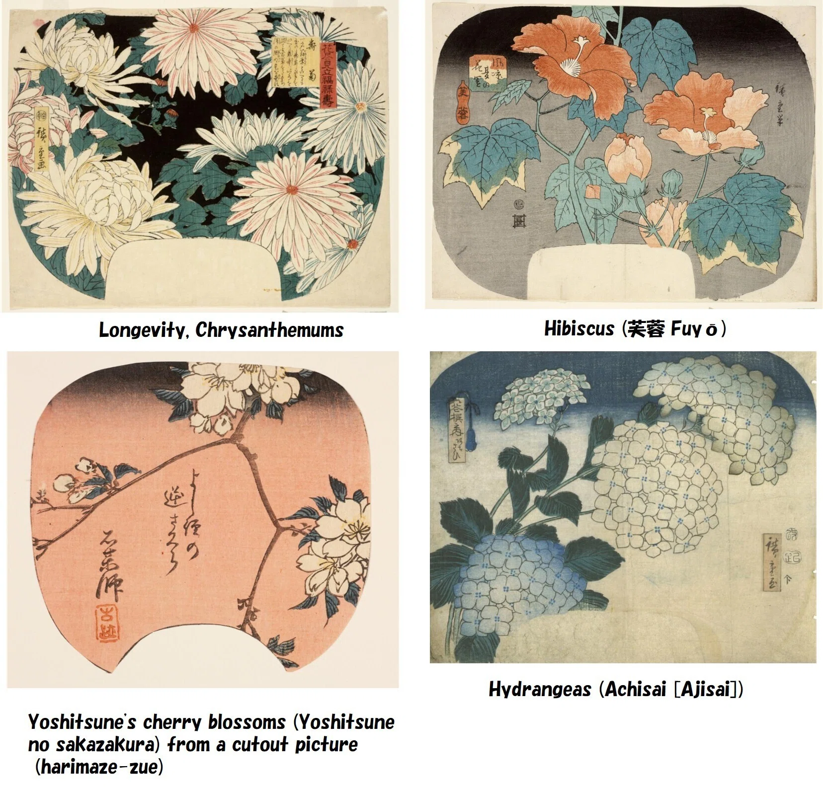 花スケッチの構図の相談：広重の鳥なき「花鳥画」構図をアドバイスしま
