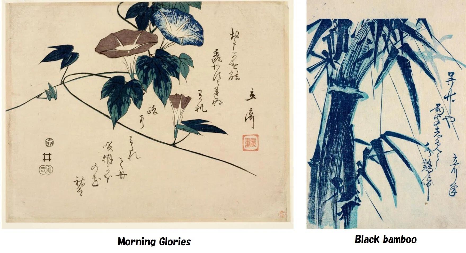 花スケッチの構図の相談：広重の鳥なき「花鳥画」構図をアドバイスしま