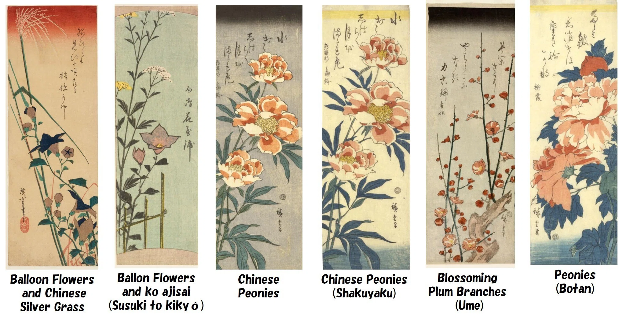 ワイド版 現代日本の花鳥画 1〜4  全4巻 花スケッチの構図の相談：広重の鳥なき「花鳥画」構図をアドバイスしま