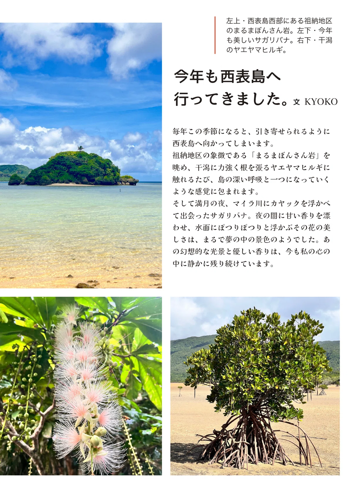 🌺石垣島の暮らし｜HUALANIマガジン創刊号｜HUALANI