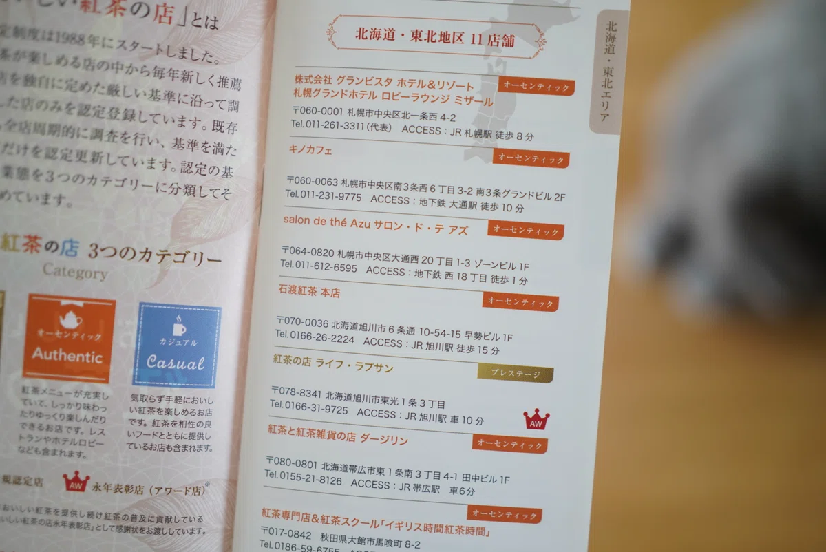 おいしい紅茶の店 冊子
