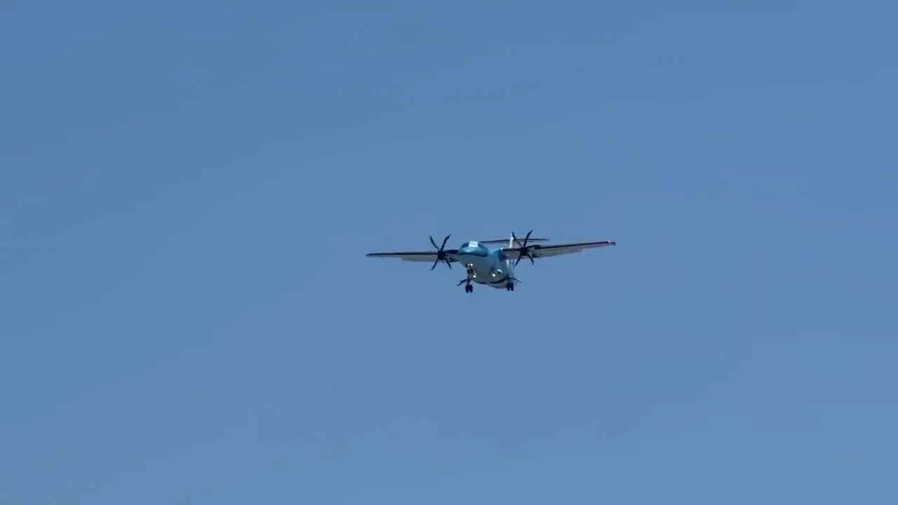 日本一小さな航空会社】世界一かわいいプロペラ機「みぞか号」で、遭遇