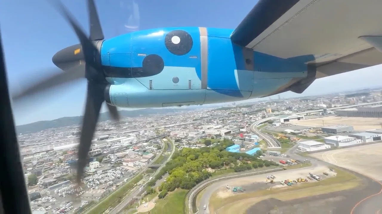 Japan's Smallest Airline】I went to meet wild dolphins with a 90