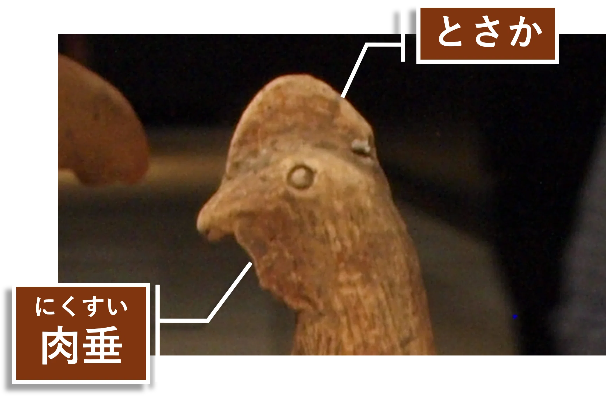 ただ今展示中⑭《鶏形埴輪》古墳時代・6世紀、東京国立博物館｜毎日