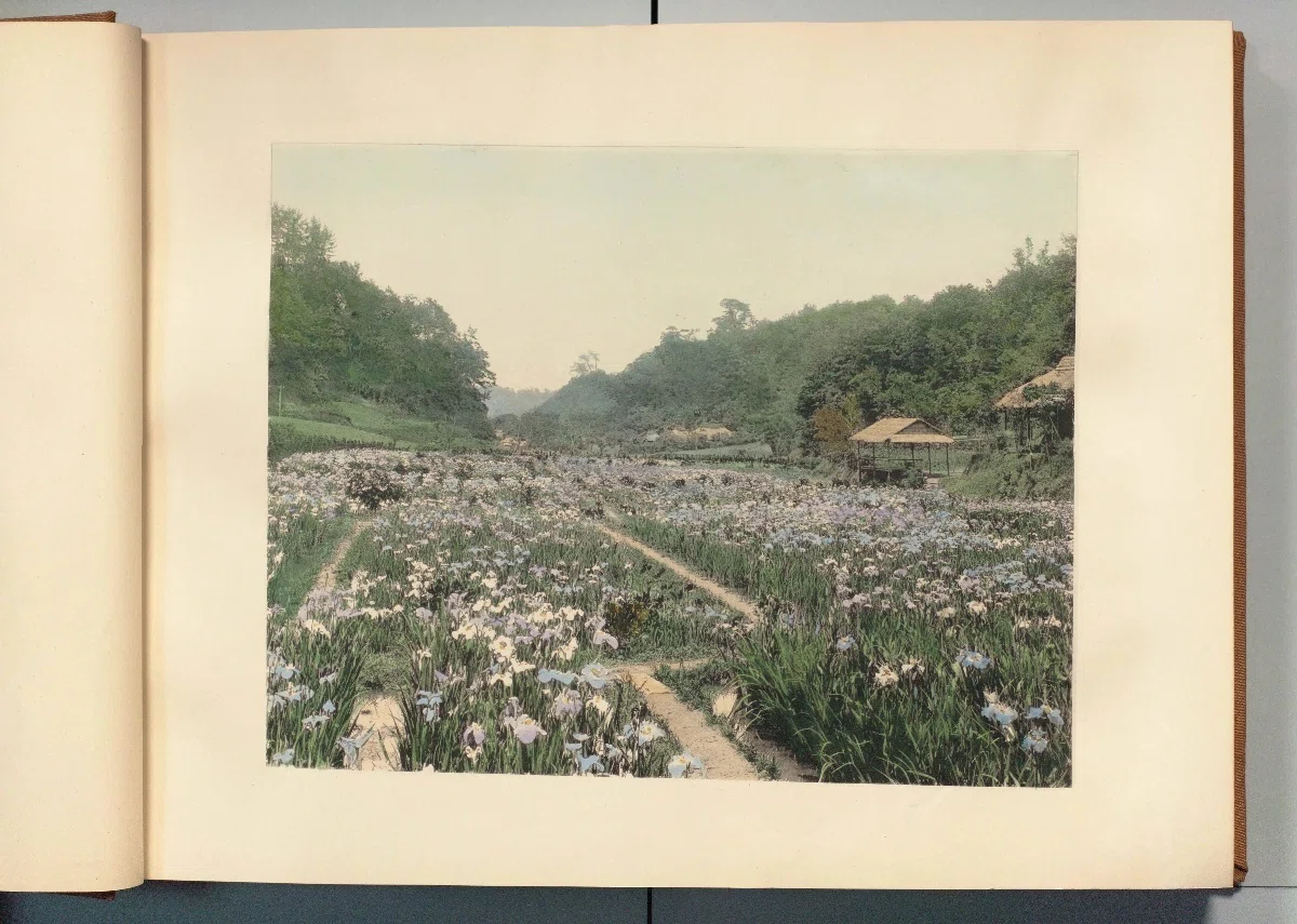 昔の日本】100年前なのに近く見える｜明治・大正の彩色写真｜写真10点
