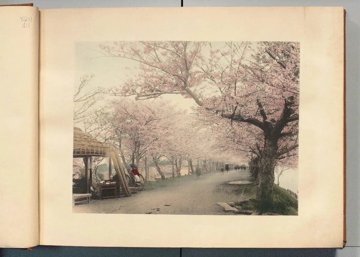昔の日本】100年前なのに近く見える｜明治・大正の彩色写真｜写真10点