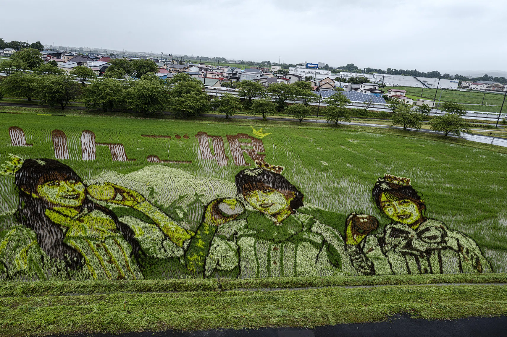 一枚の絵を描くキャンバスは、田んぼでした。｜ICHIRO MAEDA