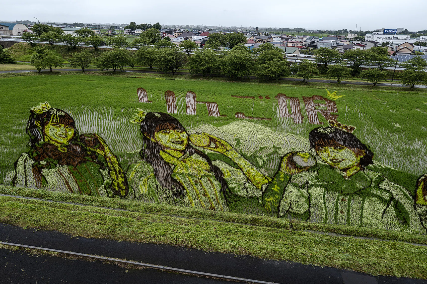 一枚の絵を描くキャンバスは、田んぼでした。｜ICHIRO MAEDA