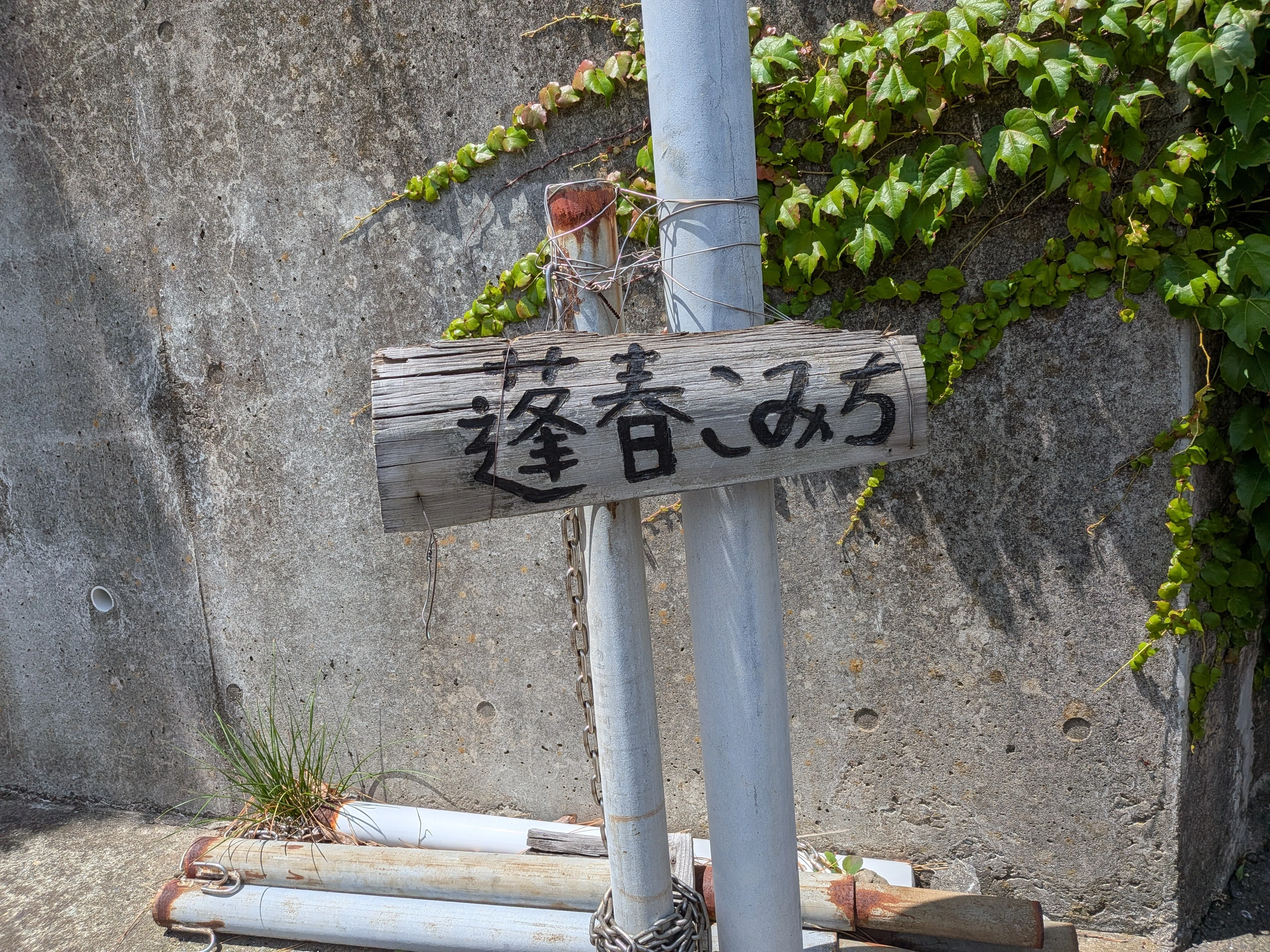蓬春に“涼”を求めて 山口蓬春記念館｜kaji