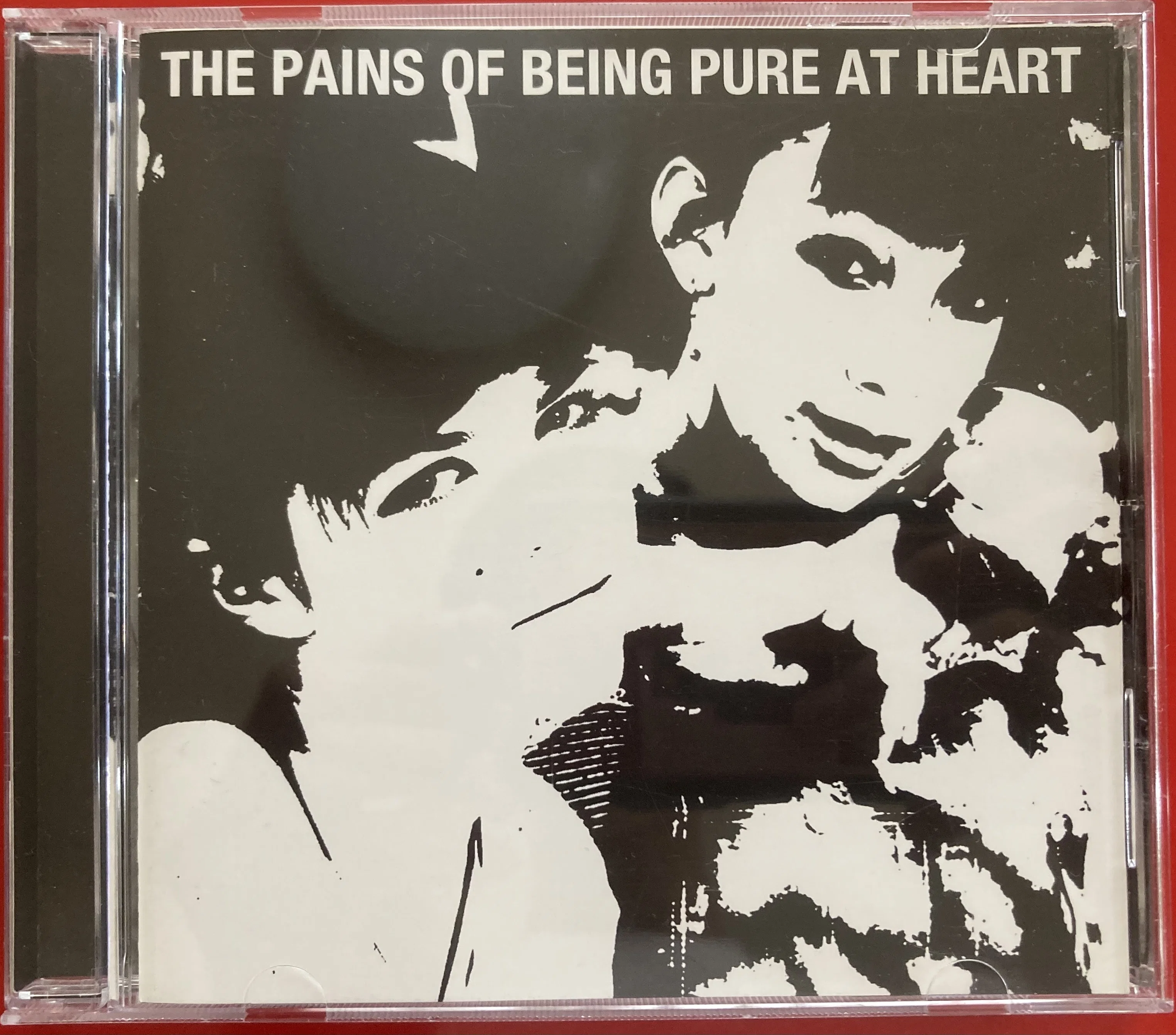 ブルックリンのアオハルシューゲイズ・ポップ The Pains of Being Pure