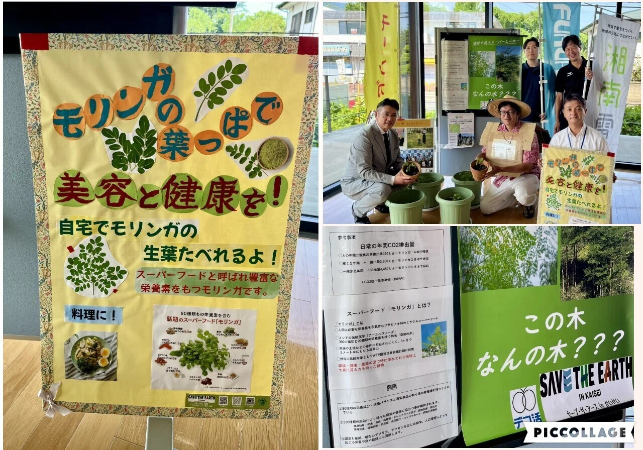 2026/7/21 “モリンガ”の苗が地元企業に寄贈されました ～「Save the