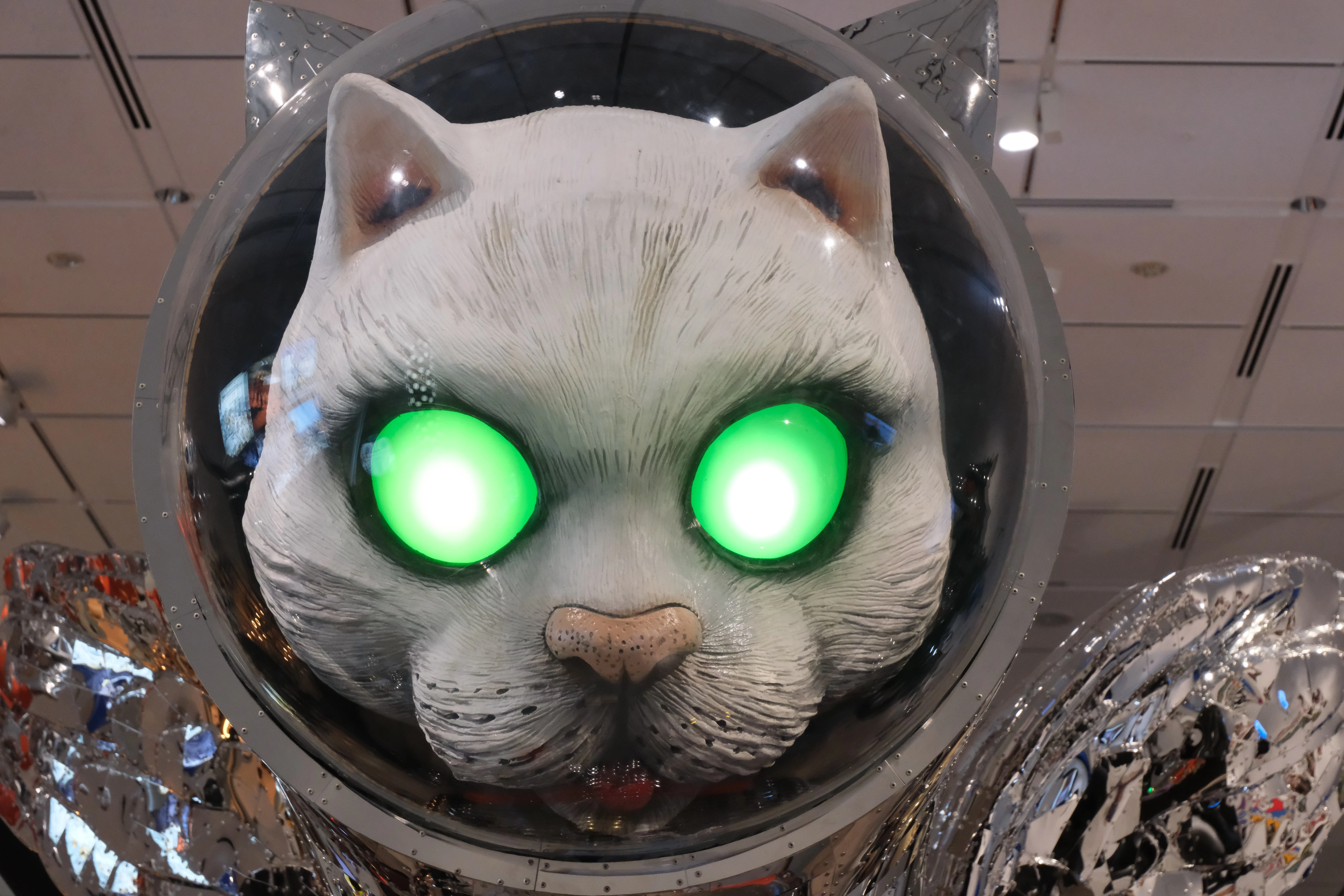 猫たちが展示室の宙を舞う。大阪中之島で「ヤンチャな大人」の本気に