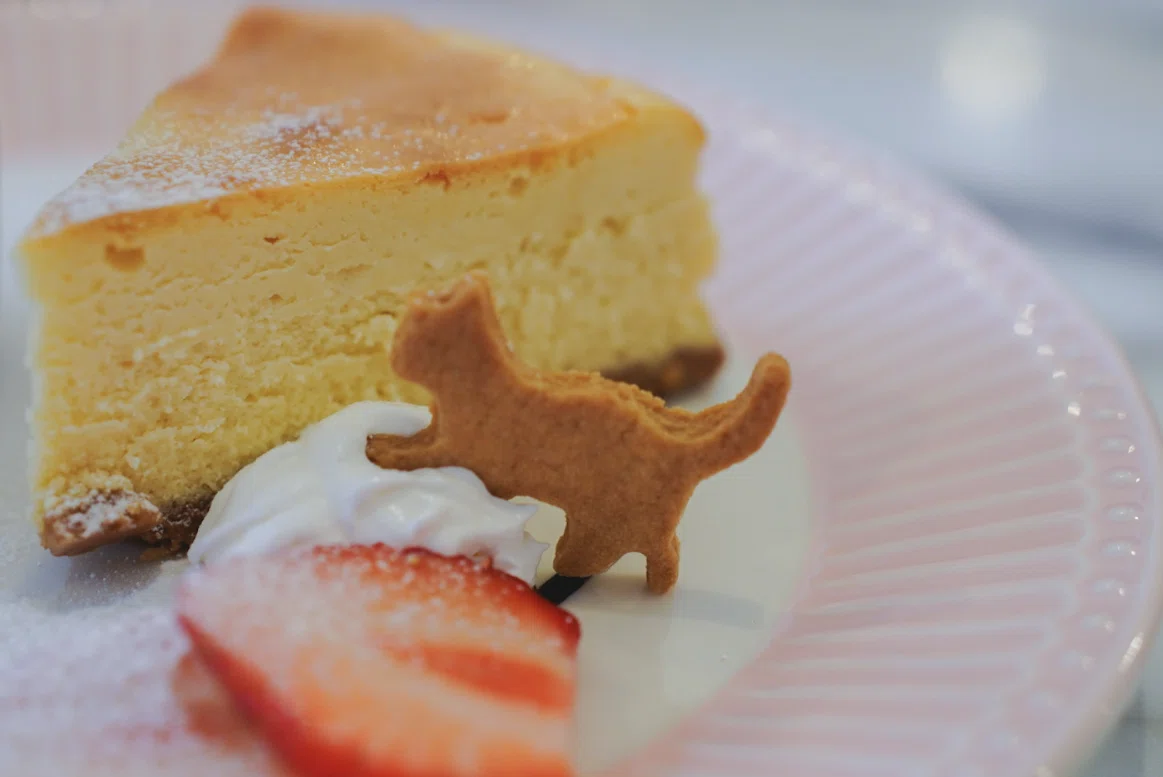 札幌 紅茶店 marble arch cafe スイーツクッキー
