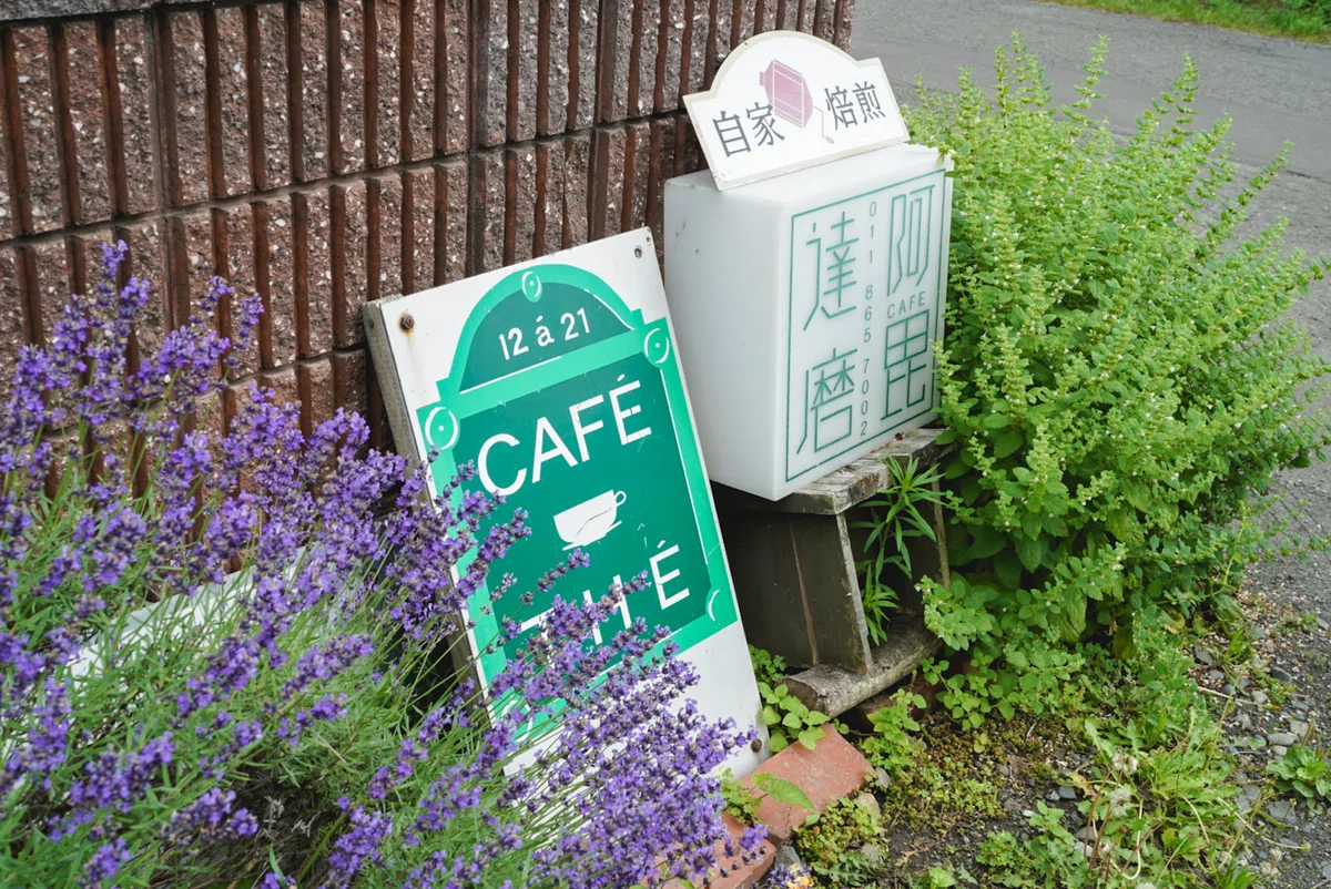 札幌 紅茶店 阿毘達磨 看板
