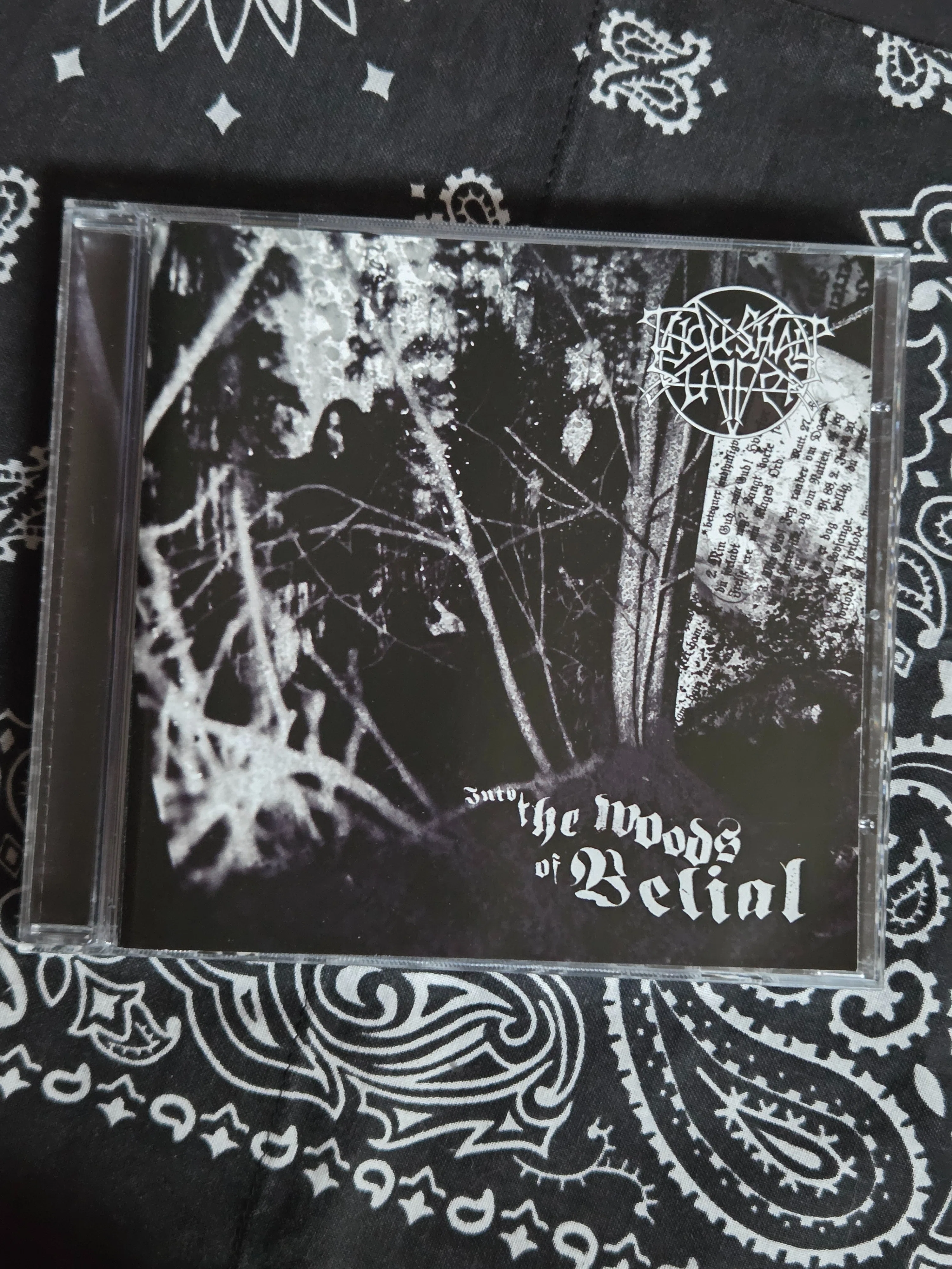 このCDを聴け！」40枚目[THOU SHALT SUFFER/INTO THE WOODS OF BERIAL