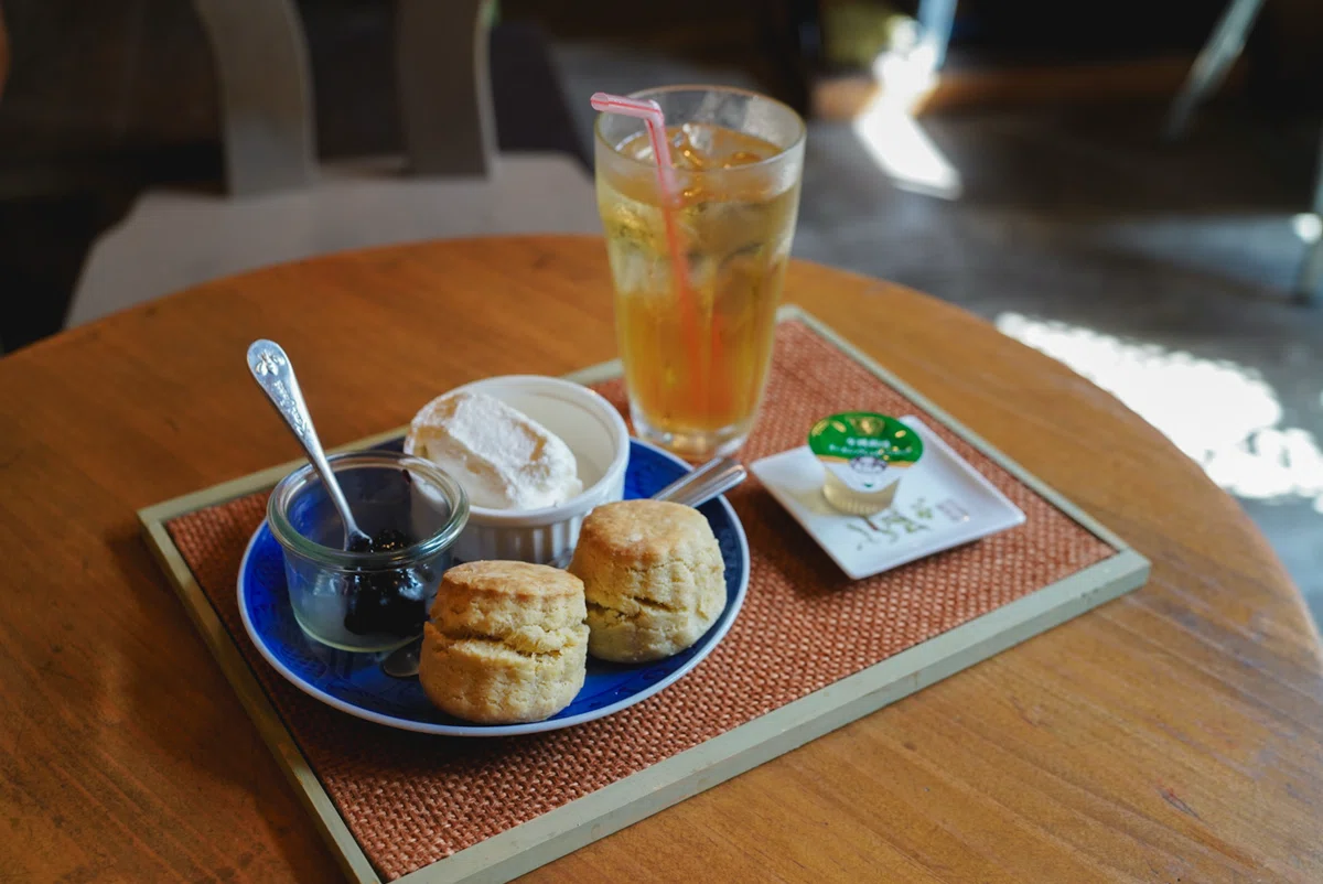 札幌 紅茶店 阿毘達磨 スコーンとアイスティー