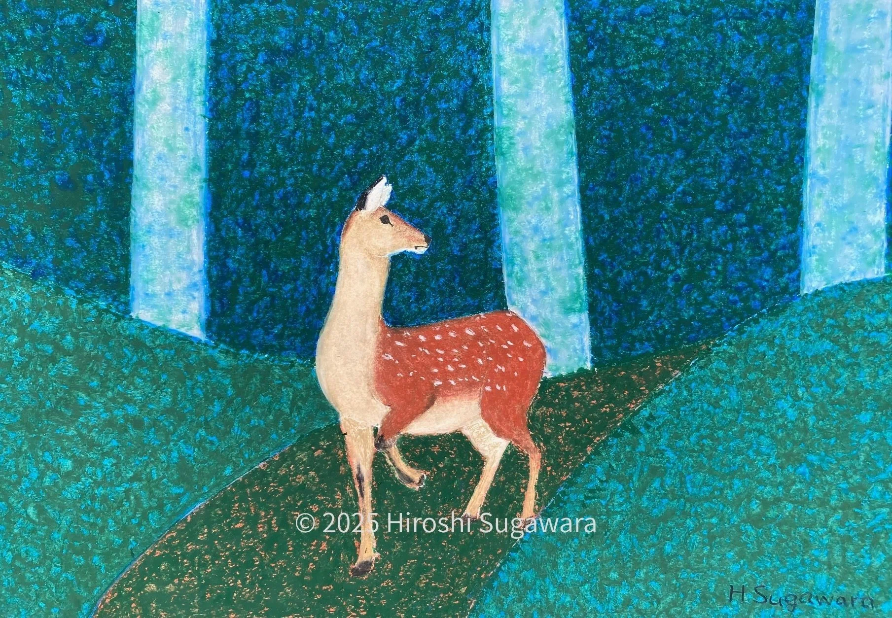 テント泊をしながら野生動物の絵を描く話(初夏:作品完成)｜菅原 寛